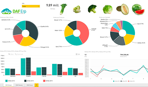 Herramienta de gestión de datos para empresas BI