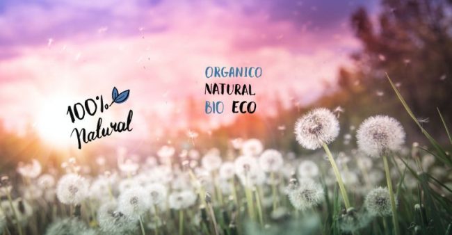 Ruher Ibérica DAF Erp Logística