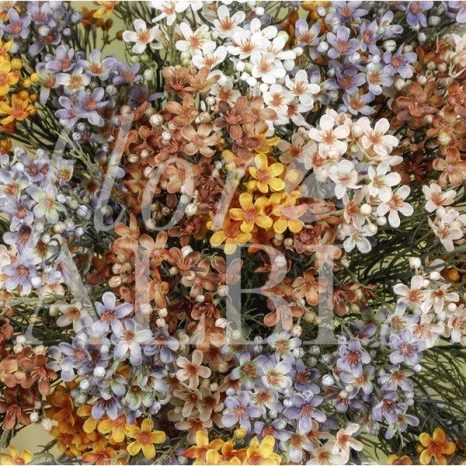Flor Albi DAF Erp Contabilidad